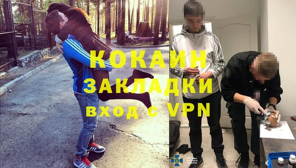 винт Щучье