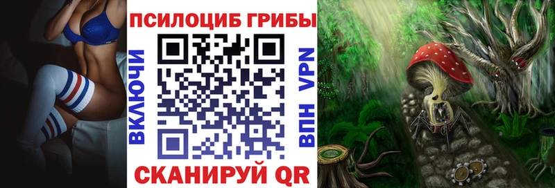 даркнет сайт  MEGA маркетплейс  Псилоцибиновые грибы Magic Shrooms  Пудож 
